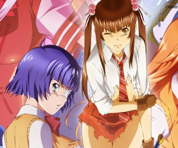 Shin Ikki Tousen