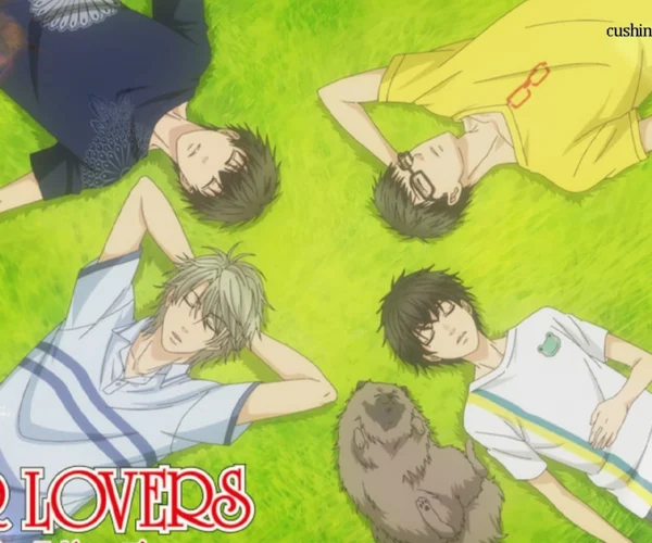Super Lovers
