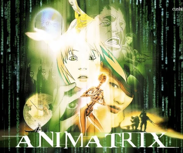 The Animatrix