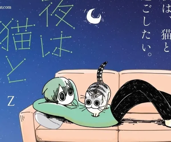 Nights with a Cat