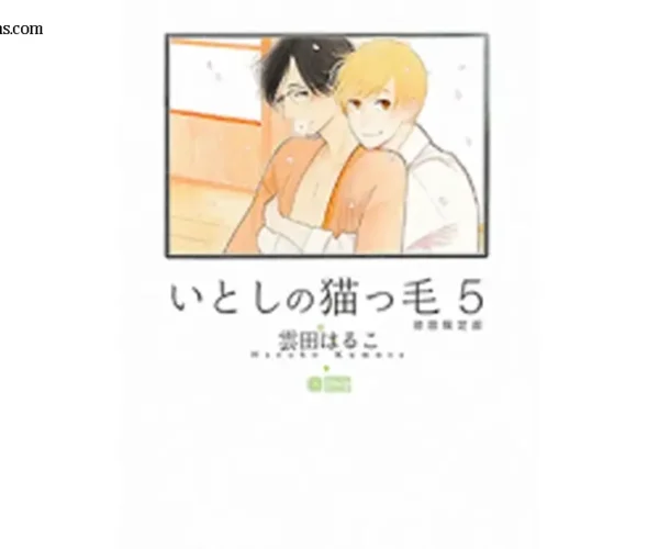 รีวิวอนิเมะ Itoshi no Nekokke Bangai-hen